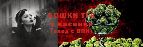 ПСИЛОЦИБИНОВЫЕ ГРИБЫ Саяногорск