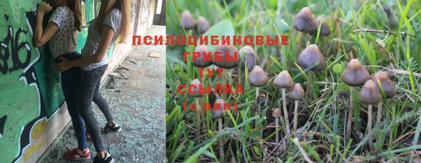 прущий лед Сафоново