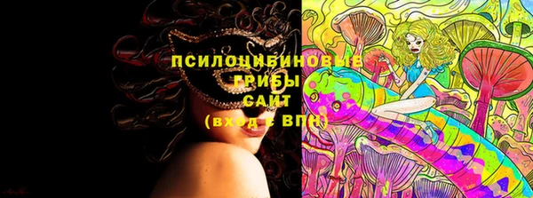 ПСИЛОЦИБИНОВЫЕ ГРИБЫ Саяногорск
