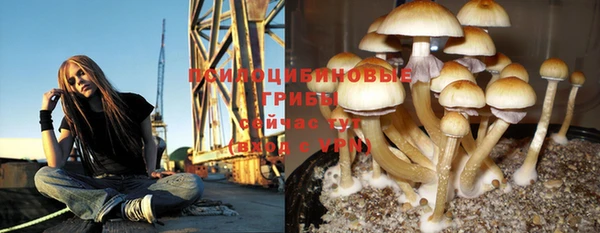 ПСИЛОЦИБИНОВЫЕ ГРИБЫ Саяногорск
